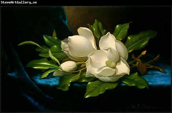 Martin Johnson Heade Giant Magnolias on a Blue Velvet Cloth